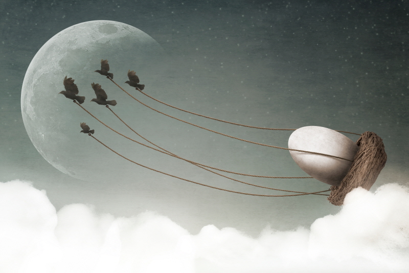 그렉 노블린 - As the Crows Fly