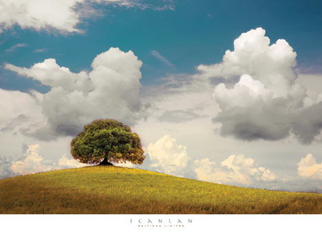 존 스캔란 - A Place to Dream