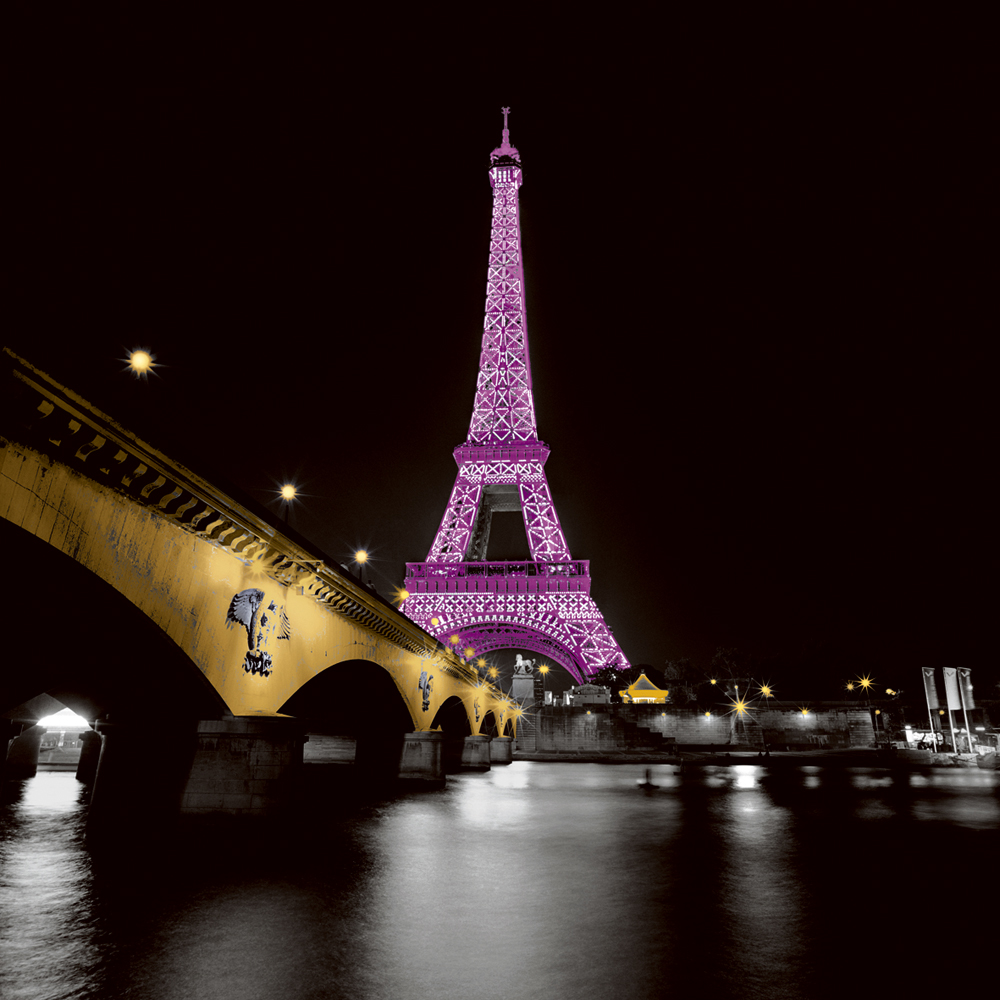 안느 발베르드 - Lady in Pink