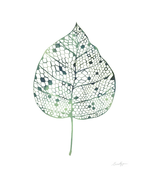 그레이스 포프 - Veiled Leaf II