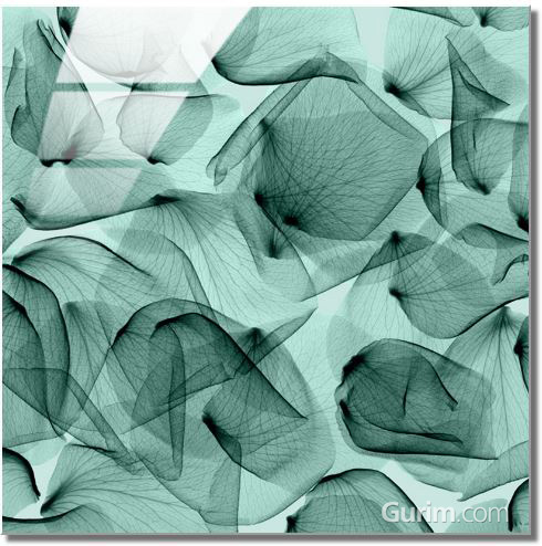 스티븐 메이어스 - Rose, Seafoam