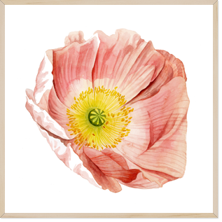 (원목)마운팅베이지