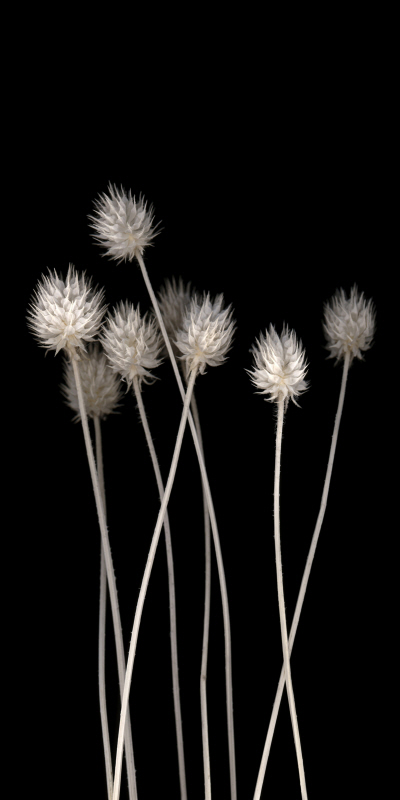 포토아이엔씨 스튜디오 - Dried Up