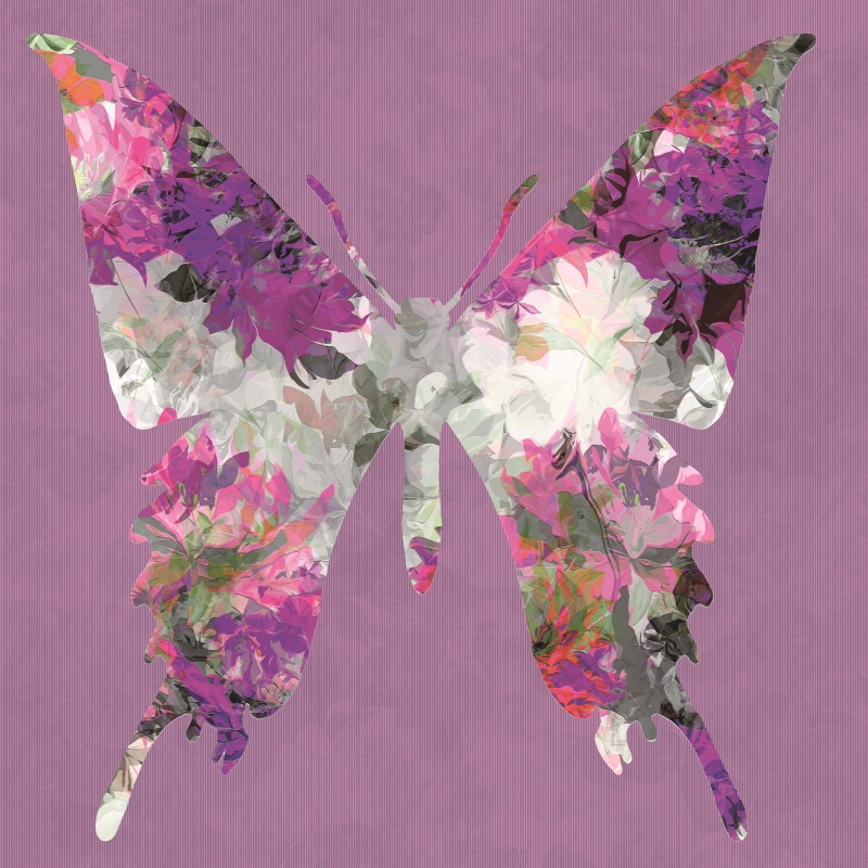 샐리 스카파르디 - Butterfly