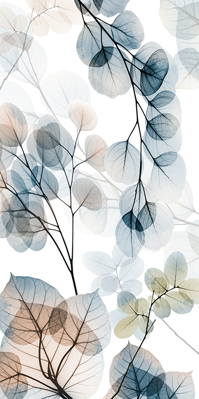 알버트 쿠치어 - Skyward Reach Ⅱ