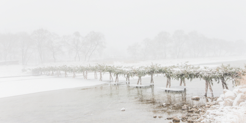 김현 - 나에게 다가온 소나무 시즌5.5 (12)