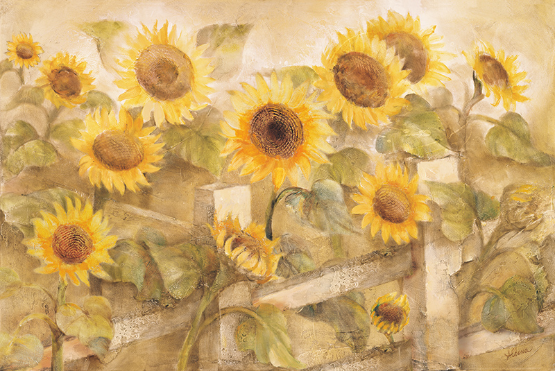 알베나 흐리스토바 - Sunflower Fence III