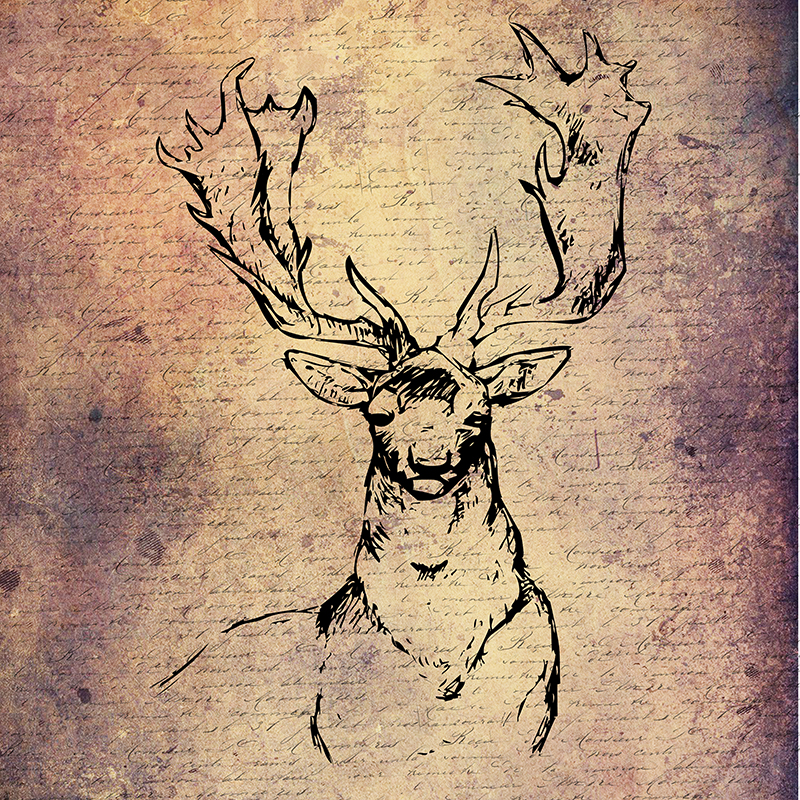 셰런 루이스 - Lodge Stories