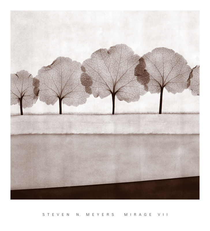 스티븐 메이어스 - Mirage VII