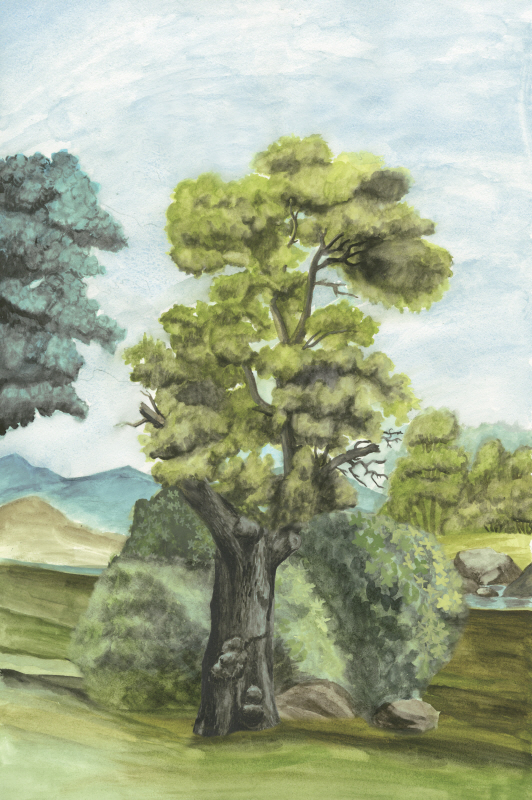 나오미 맥카비트 - Scenic French Wallpaper II