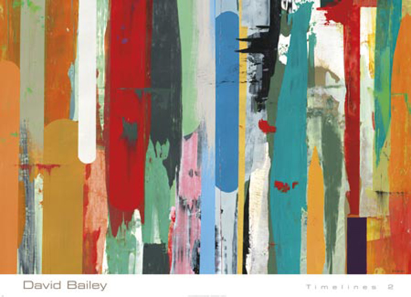 데이빗 베일리 - Timelines II
