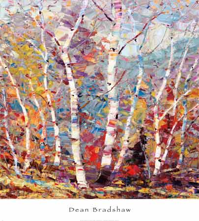 딘 브래드쇼 - Birch Colors II