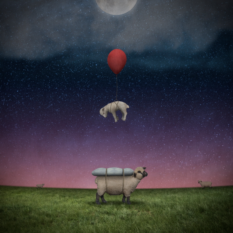 그렉 노블린 - Soft Landing