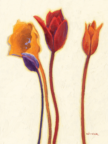 셜리 노박 - Tulipan III