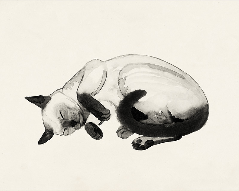 그레이스 포프 - Cat Laze III