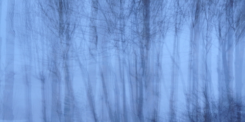 로터스 - 블루 I