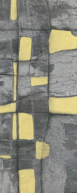 제니퍼 골드버거 - Lemon on Grey I