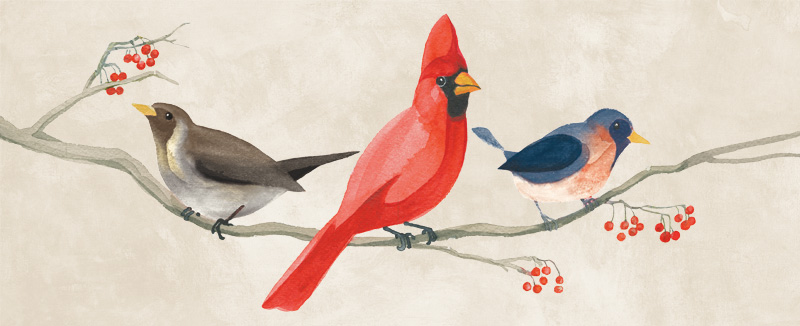 단후이 나이 - Festive Brids Panel II