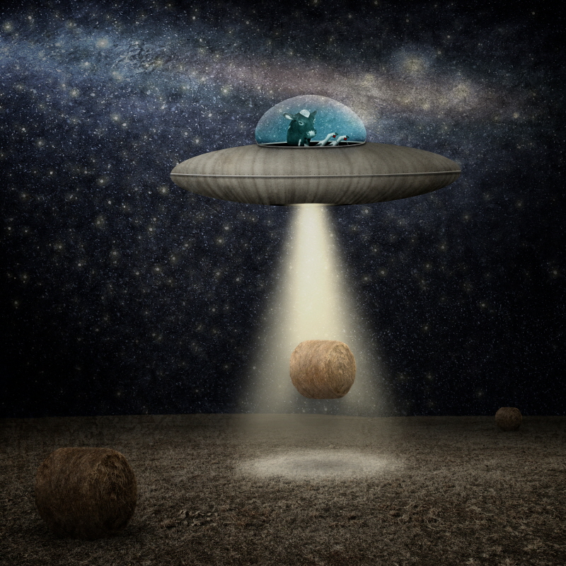 그렉 노블린 - Harvest