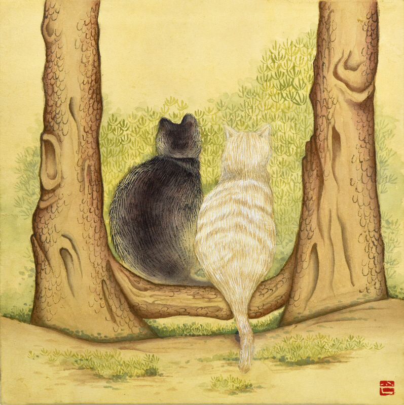 루씨쏜 - 부부 삼나무