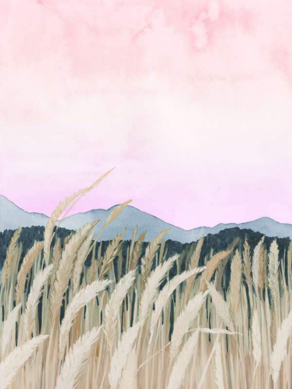 그레이스 포프 - Wheaten Dawn I