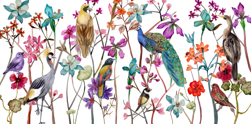 멜리사 왕 - Tangled Garden Ⅴ