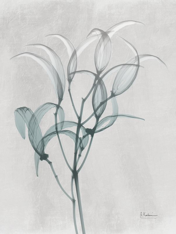 알버트 쿠치어 - Everald Oleander Bush