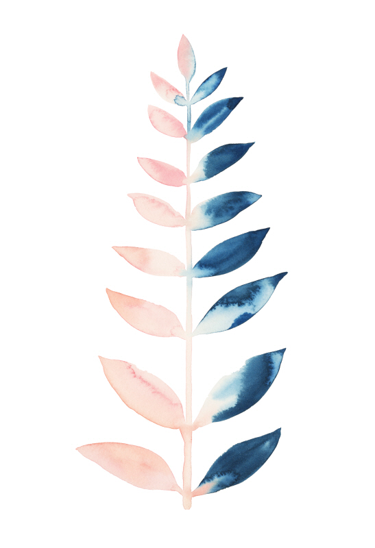 그레이스 포프 - Sprig I