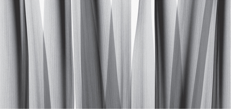 스티븐 메이어스 - Yucca Leaves