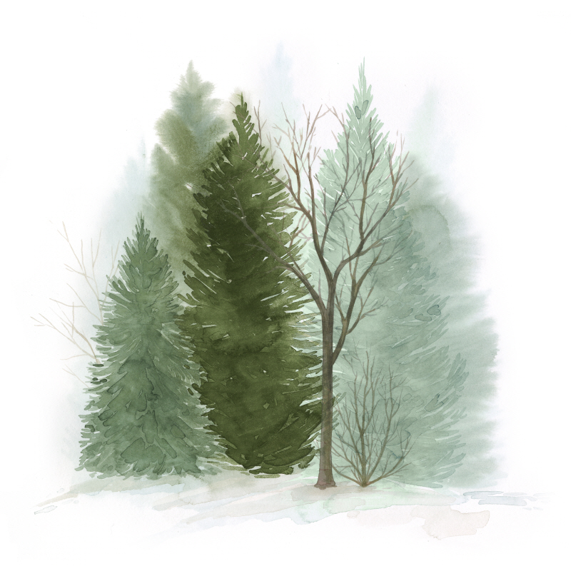 그레이스 포프 - Walk in the Woods II