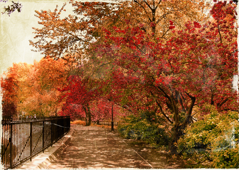 제이스 그레이 - New York Fall