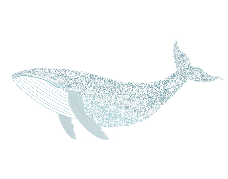 팹 펀키 - Swirly Whale