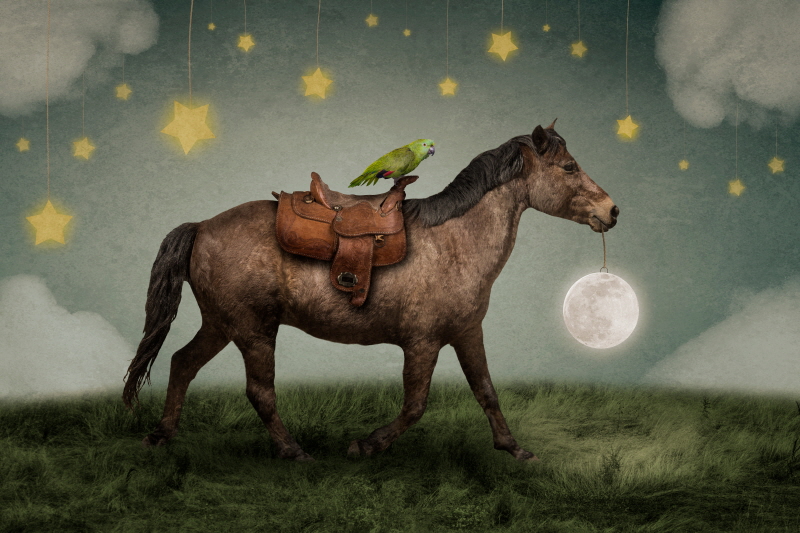 그렉 노블린 - Wanderlust