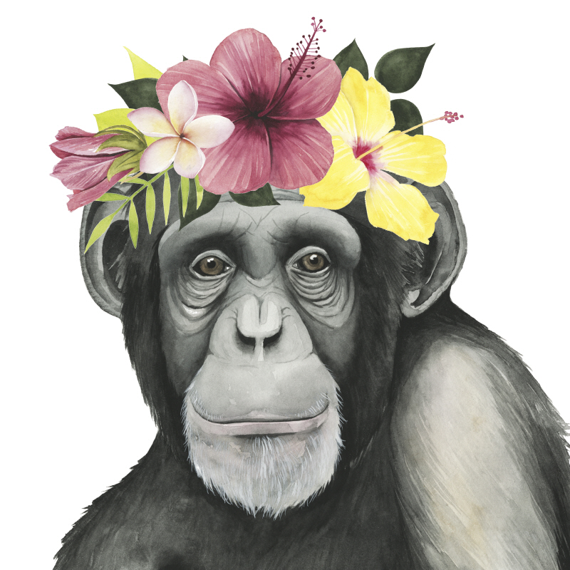 그레이스 포프 - Tropical Halo V