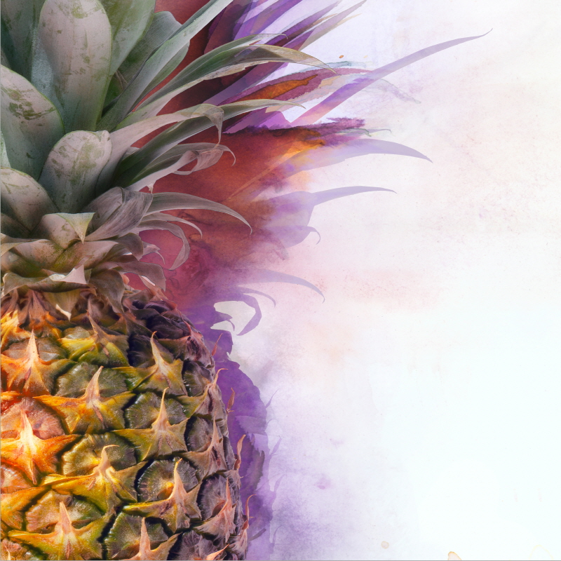 마이클 타린 - Pineapple Tri I crop