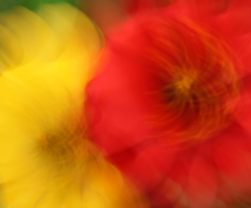 에이비 포토 - 봉평 I