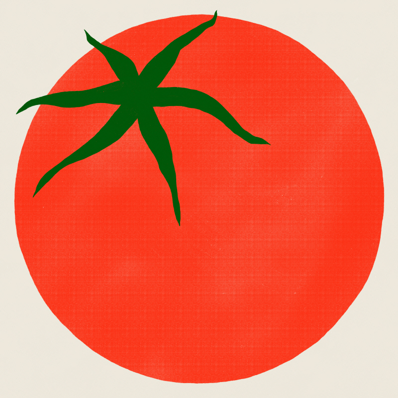 최지윤 - Tomato