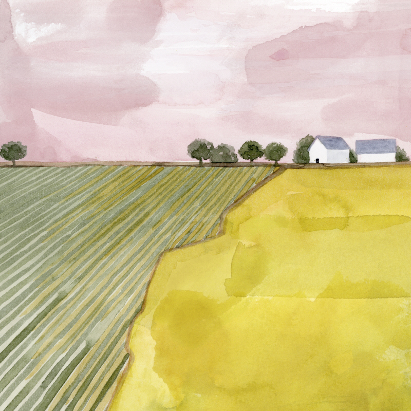 그레이스 포프 - Blush Hour II