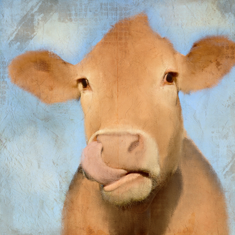 킴벌리 앨런 - Dinnertime