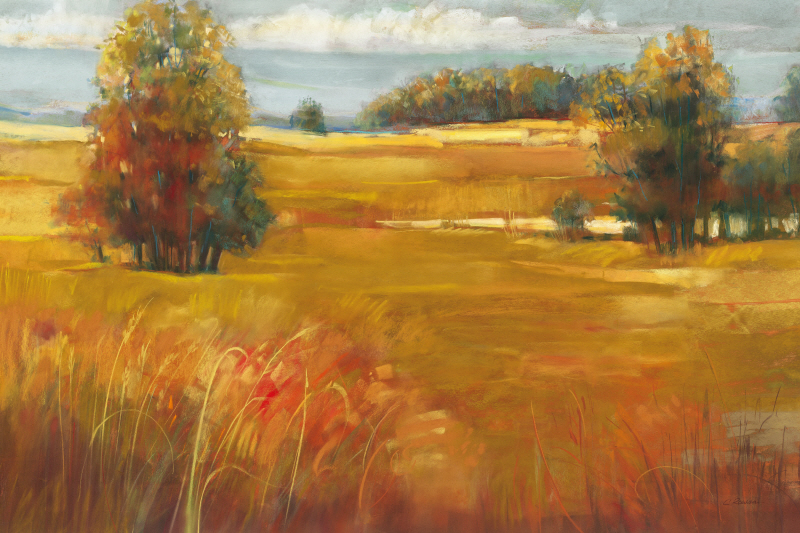 캐롤 로완 - October Light