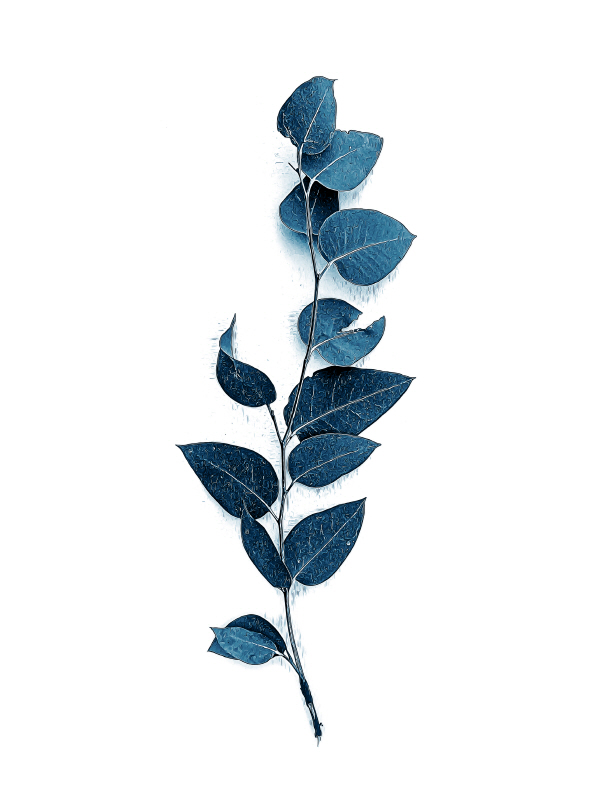 어반 에피파니 - Tiny Branch Baltin Sea