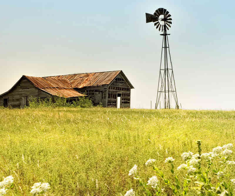 대니 헤드 - Simple Times