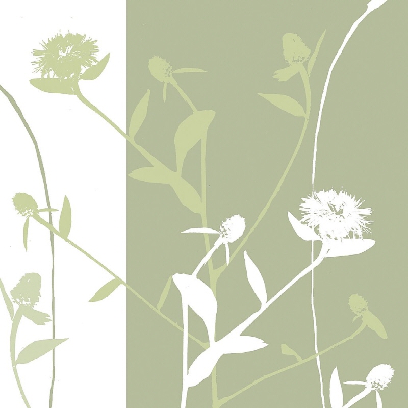 에린 클락 - Wild Flowers