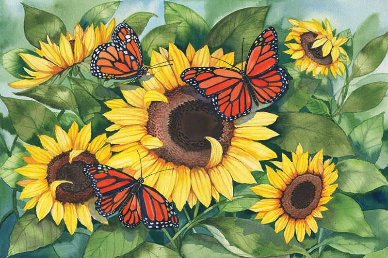 캐스린 파 멕케나 - Sunny Monarchy