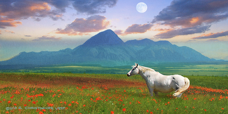 크리스 베스트 - Horse in Flowers II