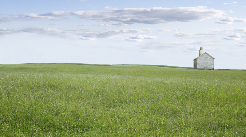 제임스 맥로핀 - Farm & Country I