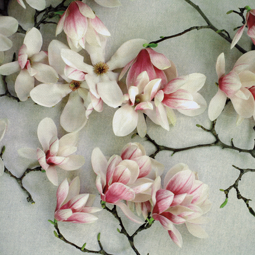 알리샤 보크 - Sonnet