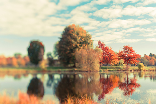 트레이시 텔리크 - Fall Ottawa II