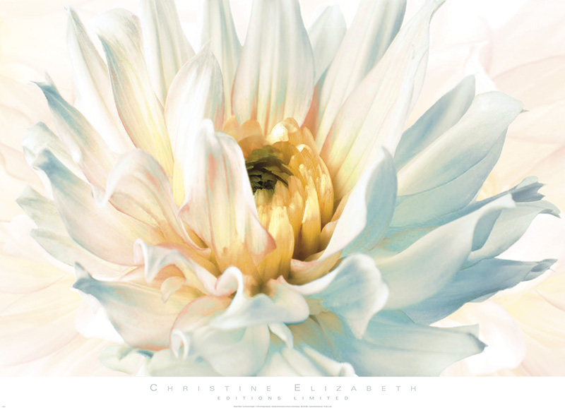 크리스틴 엘리자베스 - Painted Petals II