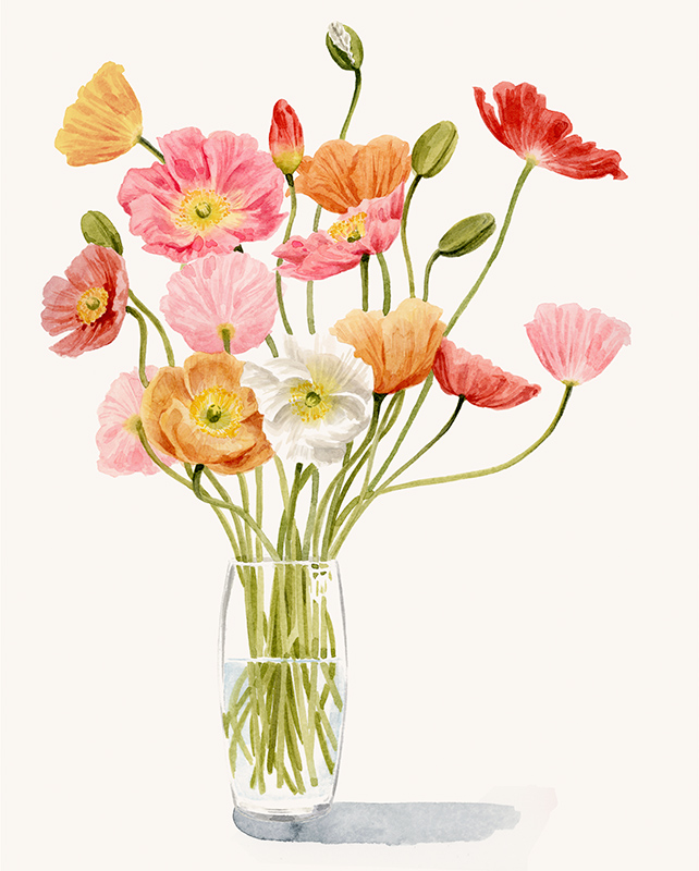 그레이스 포프 - Wiry Poppies I